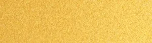 Stardream Gold